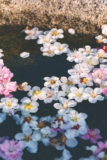 Unsplash ID ym_PHqXJ-sU