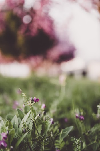 Unsplash ID yn8F2bFGdZs