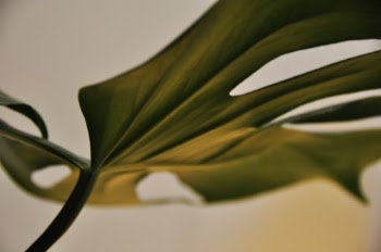 Unsplash ID YNteh8tG_RE