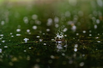 Unsplash ID yo87PWF4tM0