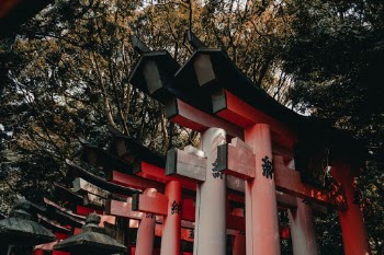 Unsplash ID YObPR4tsA7U