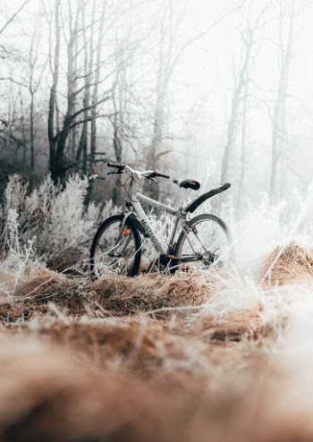 Unsplash ID Ypg9_FSkiPw