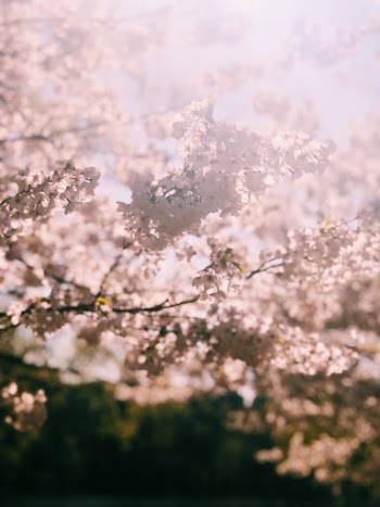Unsplash ID YPM8E5OIT-8