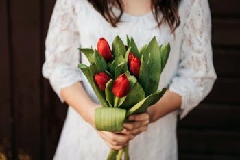 Unsplash ID Yq3QIHIbv7E