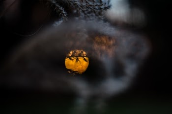 Unsplash ID YqGUCVBWrow