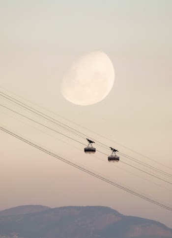 Unsplash ID yqnLpOhnQ1U