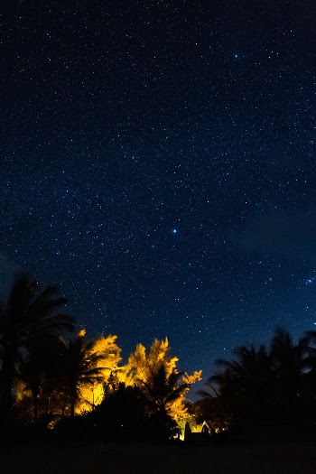 Unsplash ID yQZVUa7fvcs