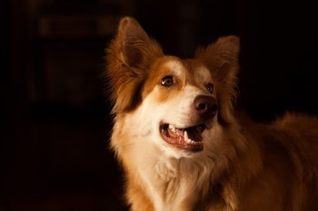 Unsplash ID yrc30NNlfNI
