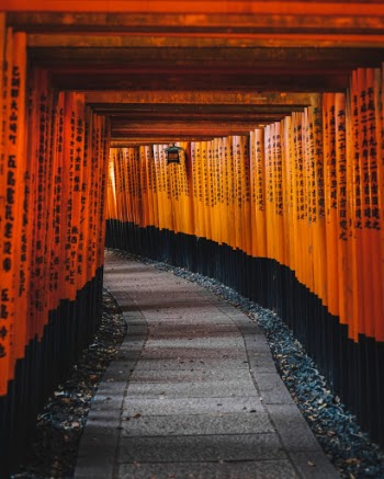 Unsplash ID YRnmVI3UPmI