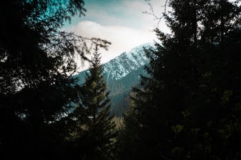 Unsplash ID yTbKRDsZGEk