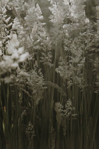 Unsplash ID YtYHKOp4Aag