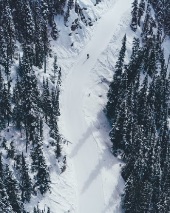 Unsplash ID YvUT4BtBbn8