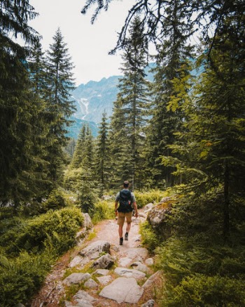Unsplash ID YvxTVlxhd6A