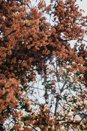 Unsplash ID YW2gfvPnbK8