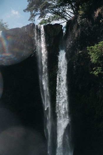 Unsplash ID YW7exyUnwJo