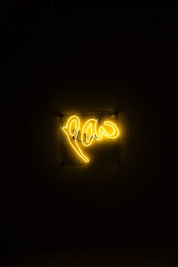 Unsplash ID _yWQZFenU0A
