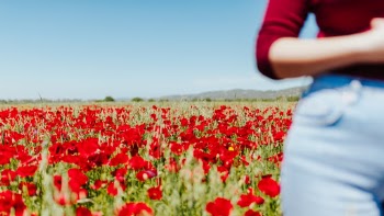 Unsplash ID YX1iGfwNgl0