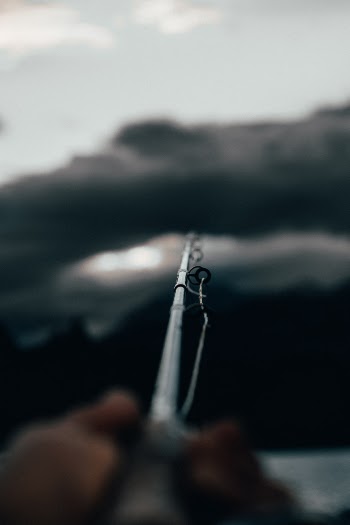 Unsplash ID yYVF7S52Vpw