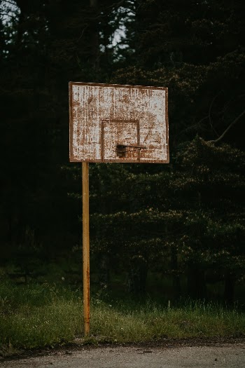 Unsplash ID z_jODmS56o0