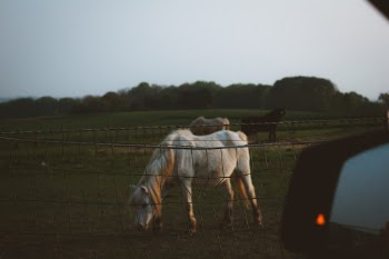 Unsplash ID z_KsPCvRL_Q