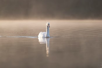 Unsplash ID z0a-D45sfEk