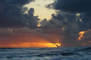 Unsplash ID Z2dtmte4-gQ