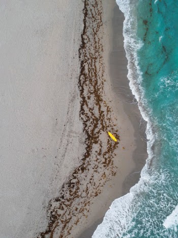 Unsplash ID z2VJp_T3aBk