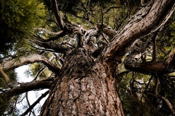 Unsplash ID z30LzXjWs28