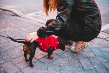 Unsplash ID Z3Icwy7h2iA