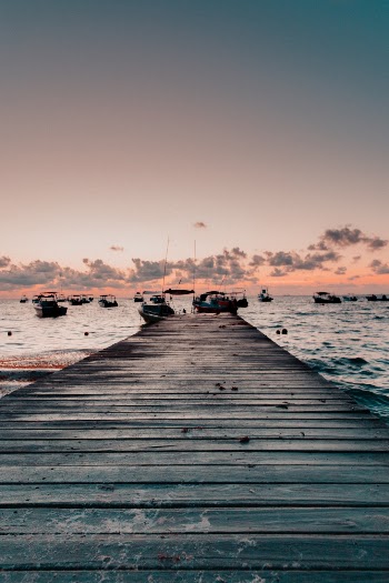 Unsplash ID z4iXyJd8Zow
