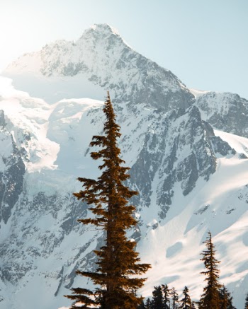 Unsplash ID Z6OdaKNbXII
