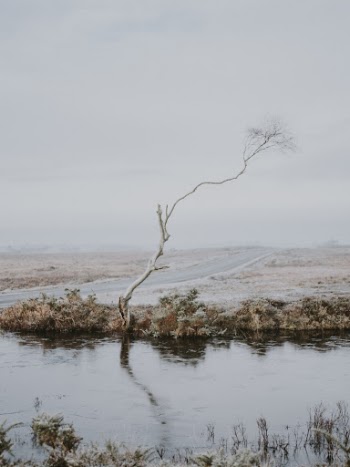 Unsplash ID Z6yN7aaER3Y