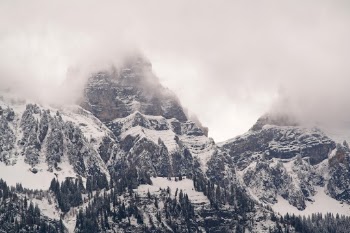 Unsplash ID z7d7sZOOSaM