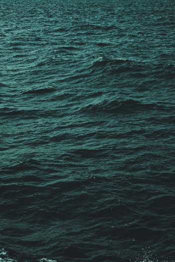 Unsplash ID z9hwMHnA788