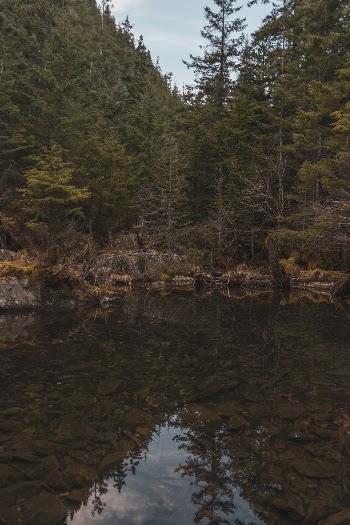 Unsplash ID ZBCHmV8kEhE