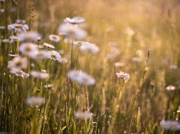Unsplash ID Zc-XbsnZZ98