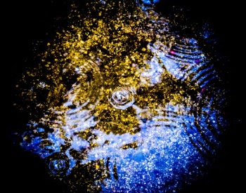 Unsplash ID zcgEAQp9Rvo
