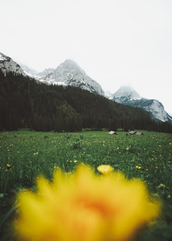 Unsplash ID zE9JFijyPec