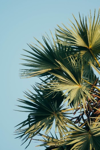 Unsplash ID -zEDq4sRxRE