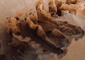 Unsplash ID ZEEmlVExQrE