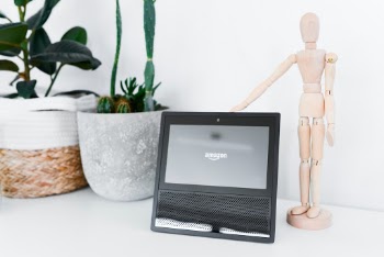 Unsplash ID zfdvBgOjpOs