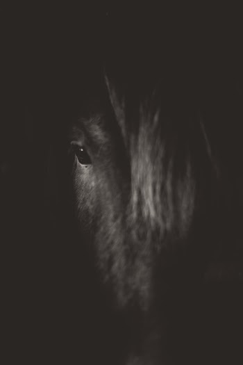Unsplash ID zFmuPqTdZvo