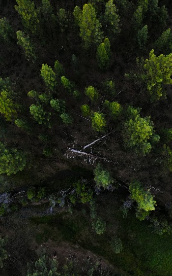 Unsplash ID ZgJBJR83FOs