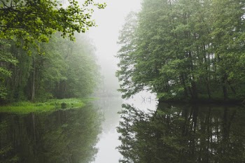 Unsplash ID zHpT7M_IKw4