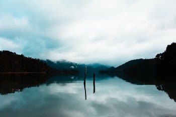 Unsplash ID ZhuxV77XssY
