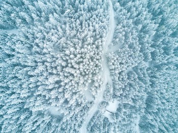 Unsplash ID ZIDL2-88SEI