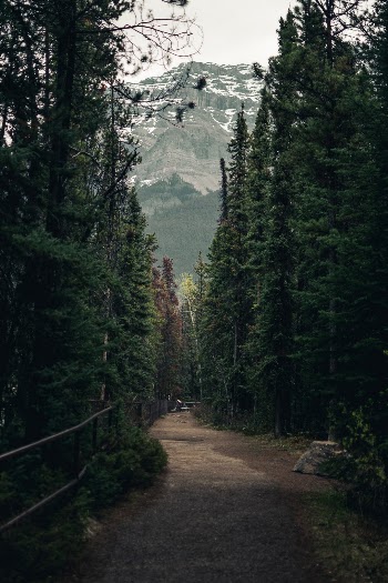 Unsplash ID ZIZmUNmZUbA
