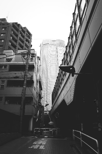 Unsplash ID _zJj_kVPVkY