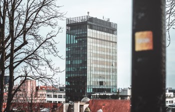 Unsplash ID zJwN14slj88