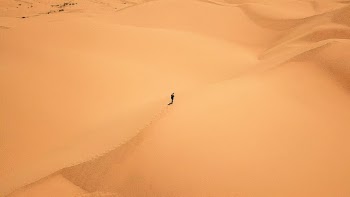 Unsplash ID ZkCVqkwlUGE